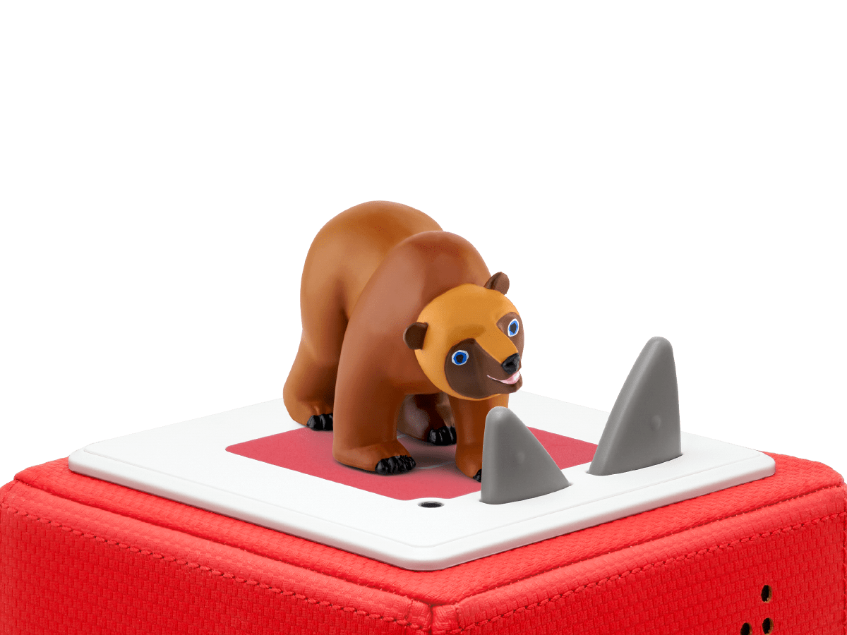 Brown Bear Tonie on Toniebox