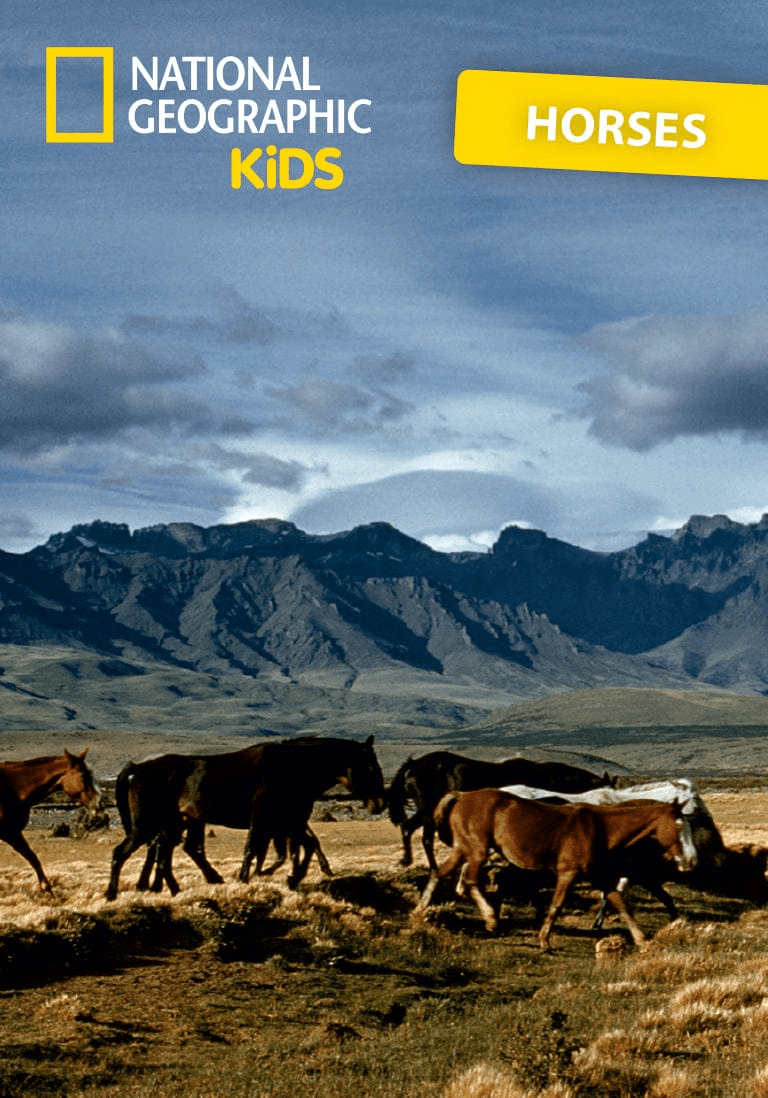 National Geographic Kids: Horse Tonie | Illustration