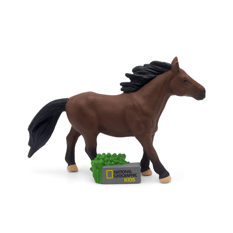 Horse | plp image