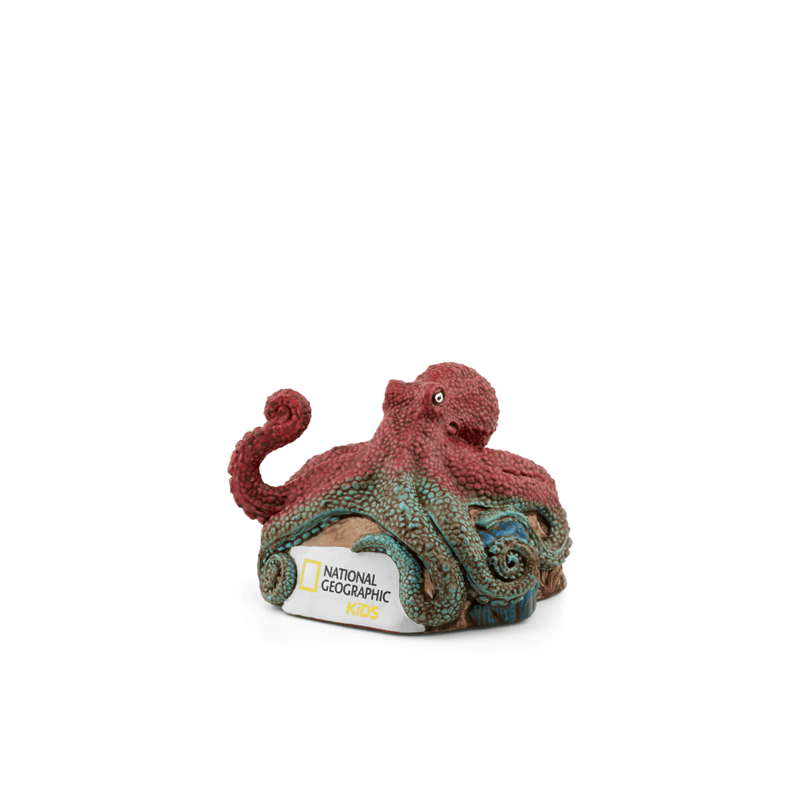 Octopus | plp image
