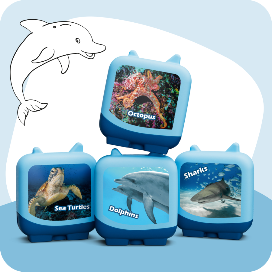 Marine Life: Go Under The Ocean and Learn About Different Sea Creatures