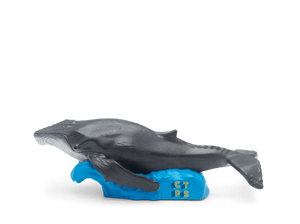 National Geographic Kids: Whale Tonie