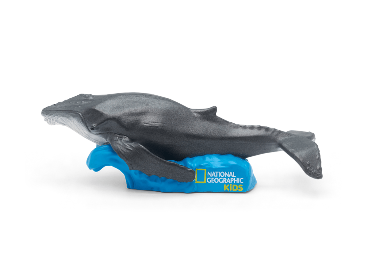 Nat Geo Whale audio figurine for the Toniebox, which plays audio content