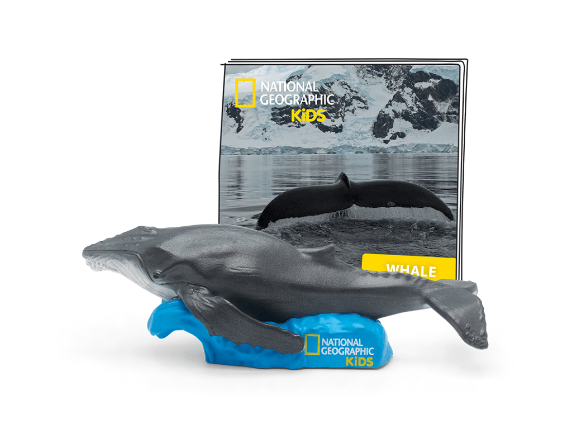 Nat Geo Whale audio figurine with content illustration