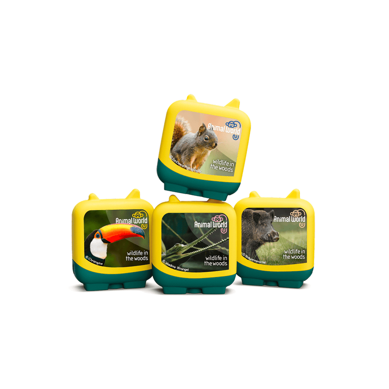 Wildlife in the Woods | plp image
