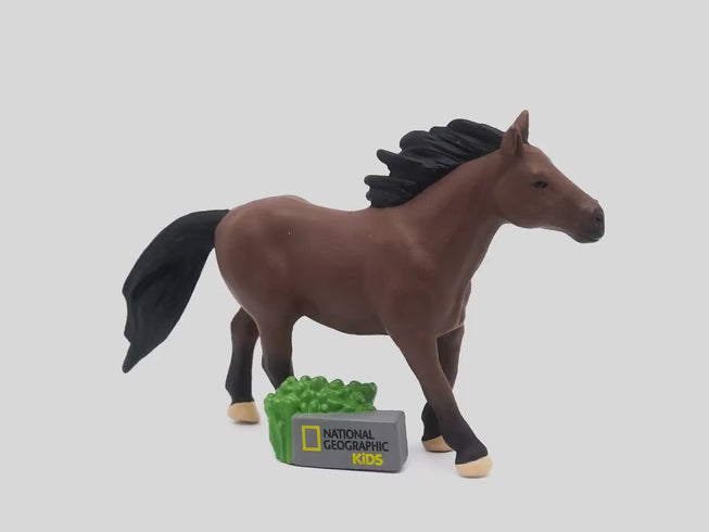 360 rotation view of National Geographic Kids: Horse Tonie