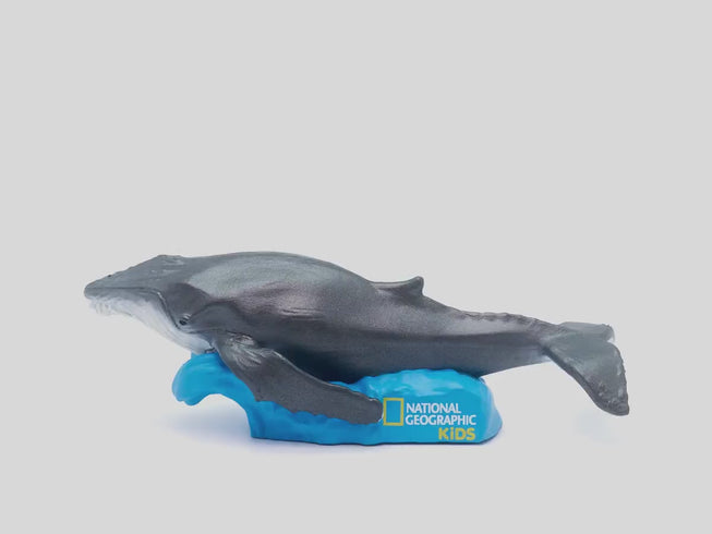 360 rotation view of National Geographic Kids: Whale Tonie