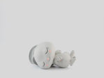 360 rotation view of Sleepy Rabbit: Classical Music from the Sleepy Forest