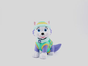 Everest | 360 rotation image