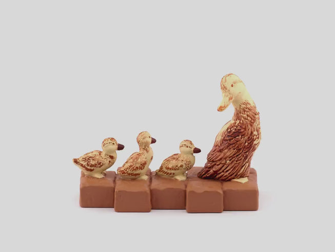 Make Way for Ducklings | 360 rotation image